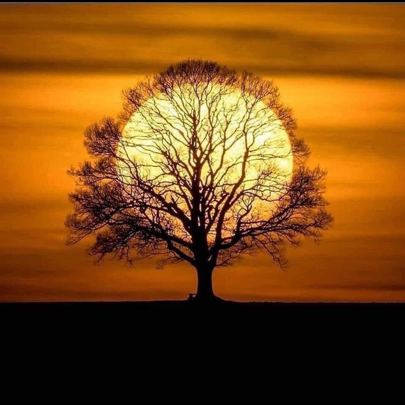 Meet your Posher, Raziel - Picture 1 of 1